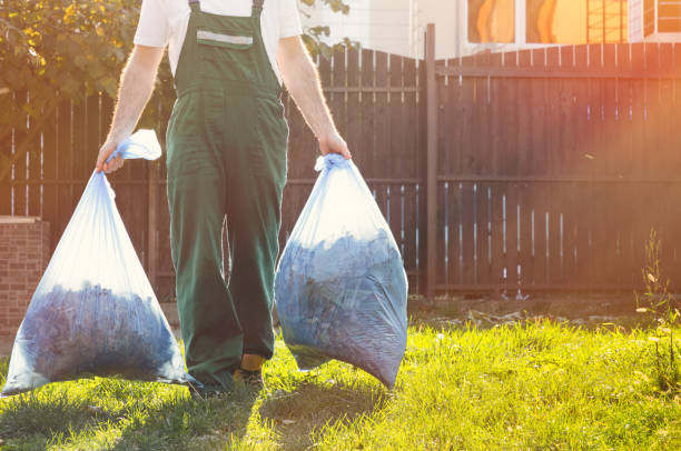 Best Shed Removal  in Mledgevle, IL